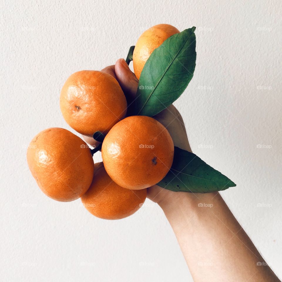 Oranges in human hand with gray background
