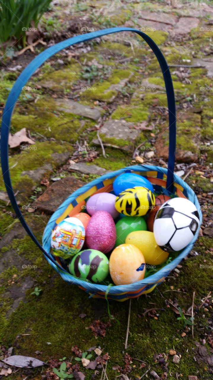 basket of eggs 