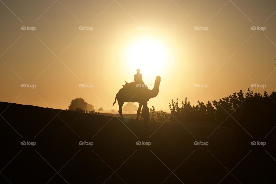 Sunset at Desert. Travelling on camel. 