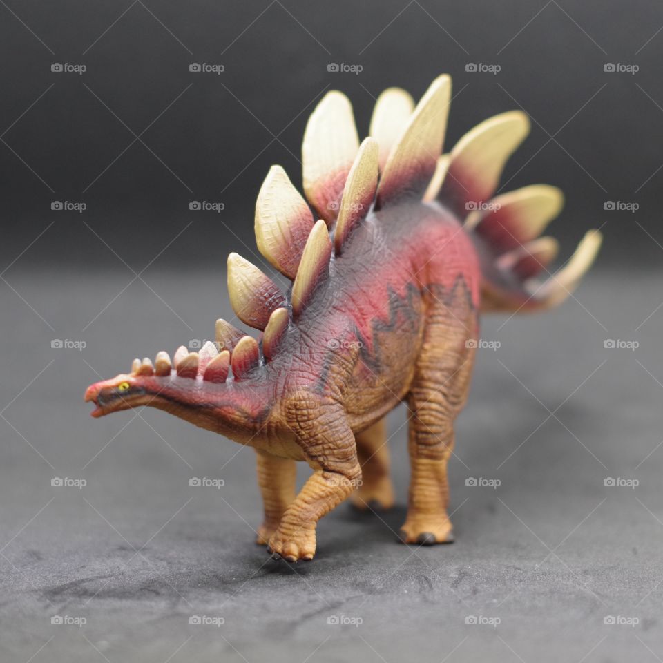 Plastic stegosaurus figurine from a long lost childhood