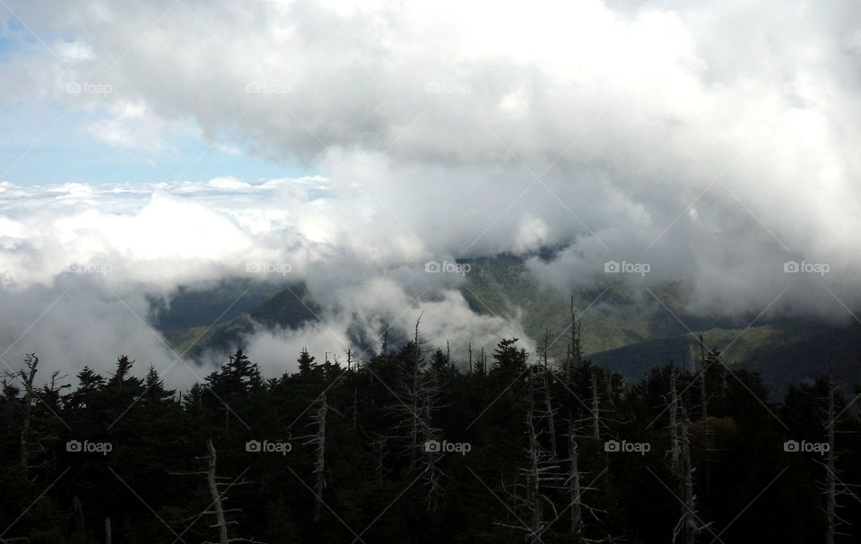 Scenic Mountain View