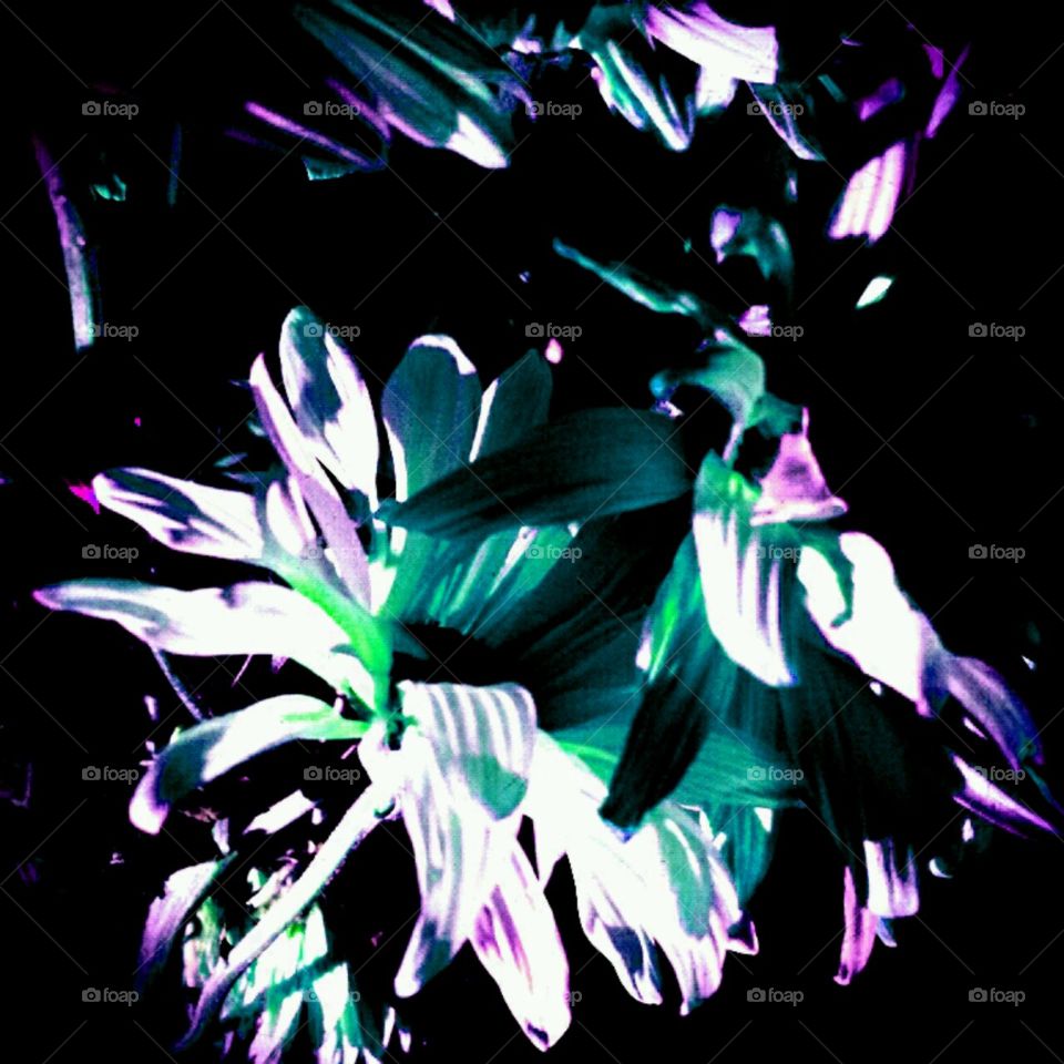 shinedown. lighting effects