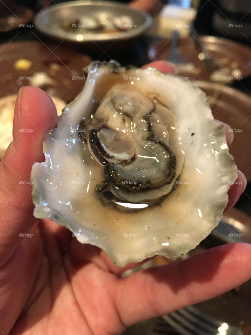 Oyster shooter
