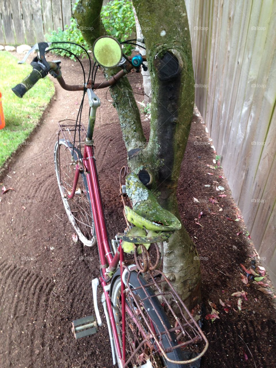Old bicycle. Bicycle in the garden