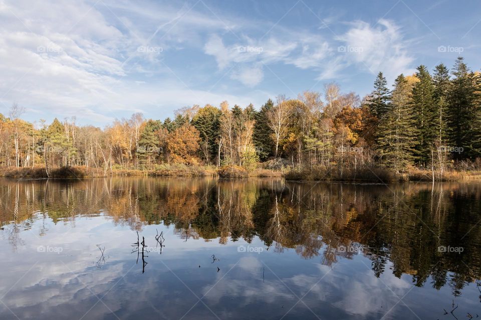 Forest in autumn colors, reflection in the calm lake on a beautiful day in the fall