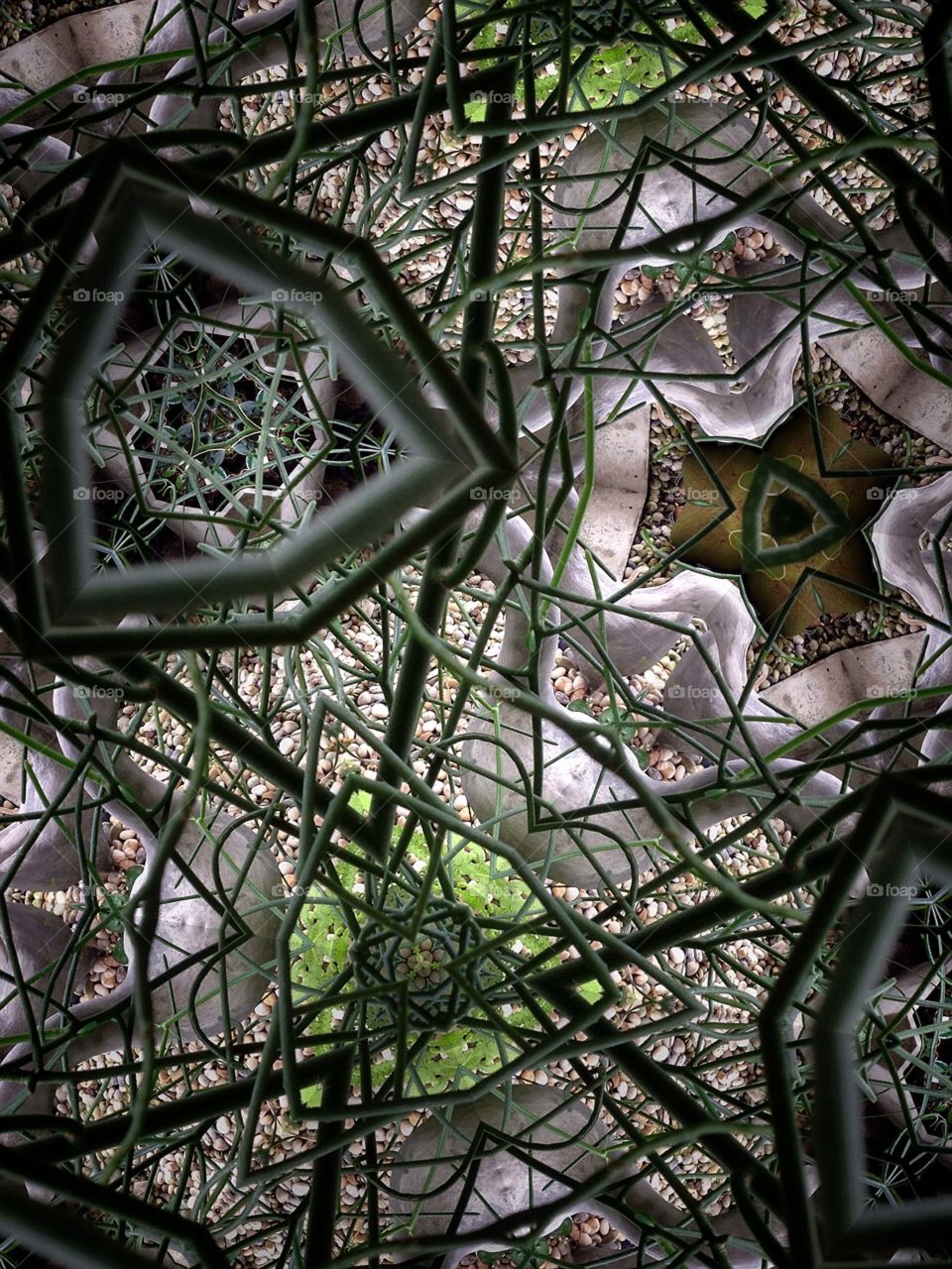 Kaleidoscope 7. My garden 