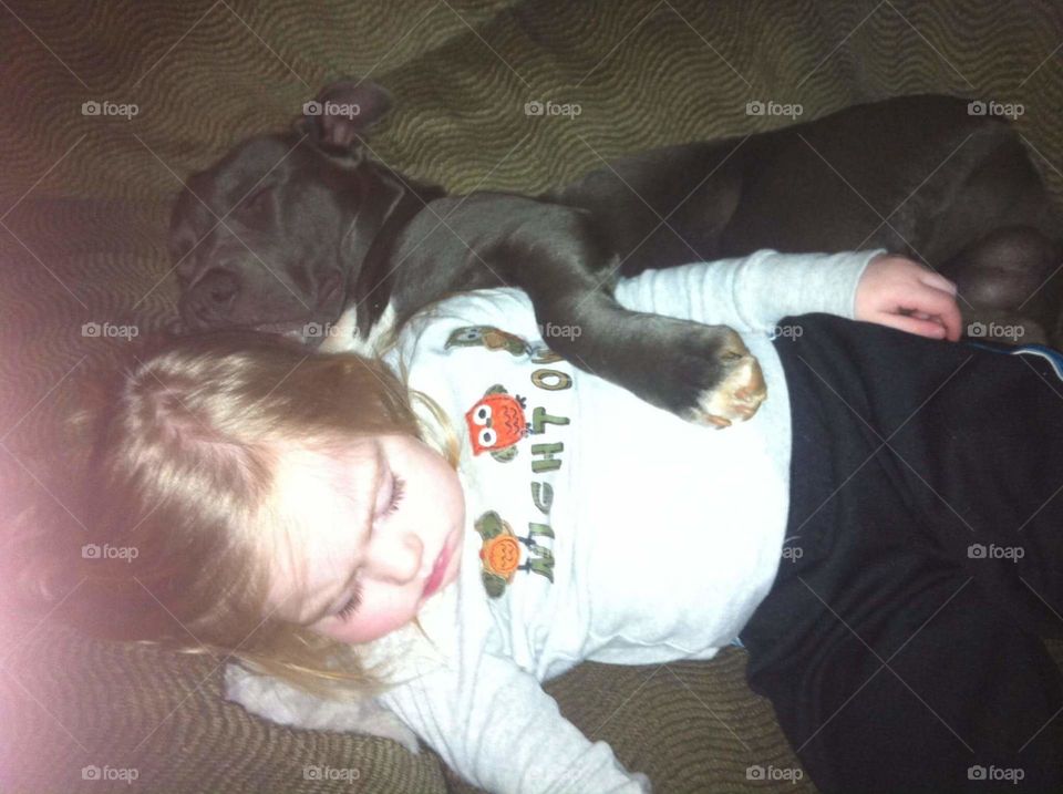 Sleeping Girl and Dog
