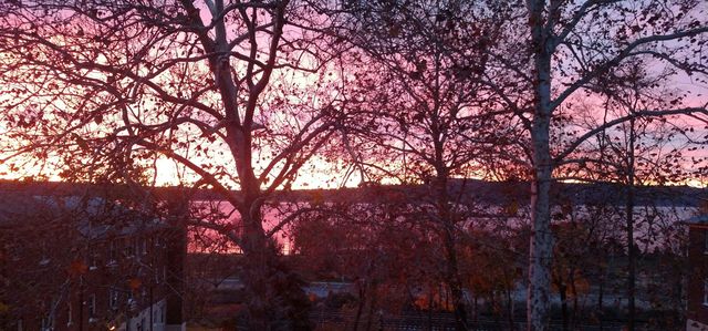 Sunrise