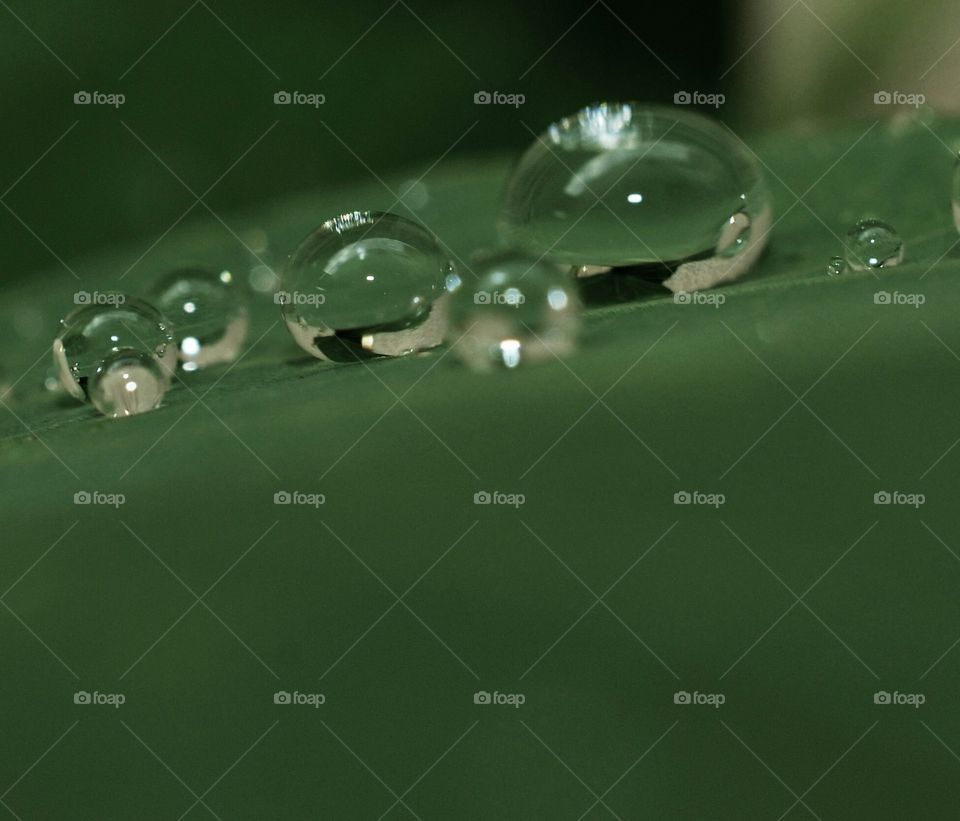 drops