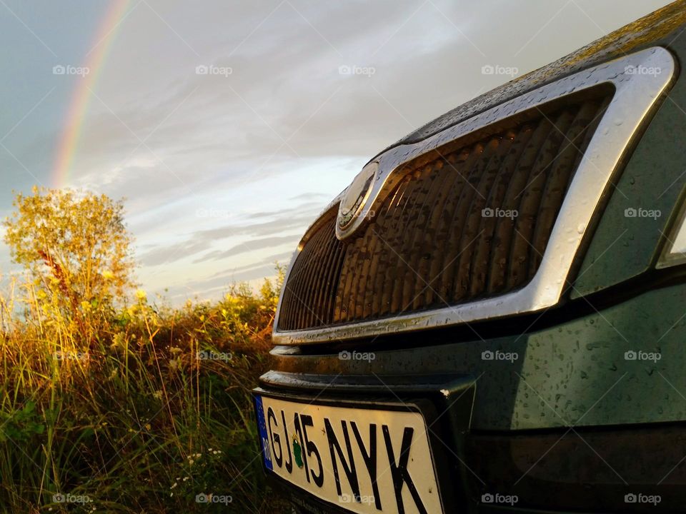 the rainbow after the rain