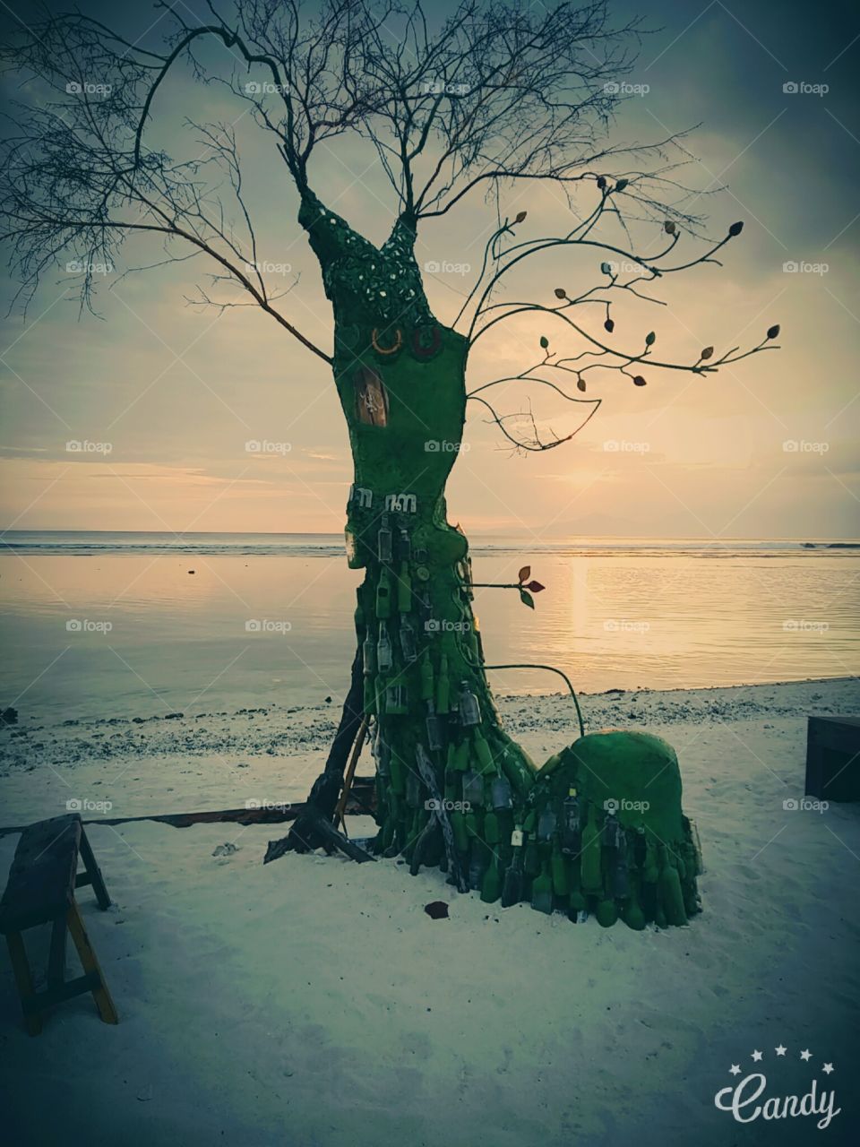 Tree Art
#gilitrawangan #indonesia #summers #beachlife #beach #sand #sunset #bachelorette #trees #woods
