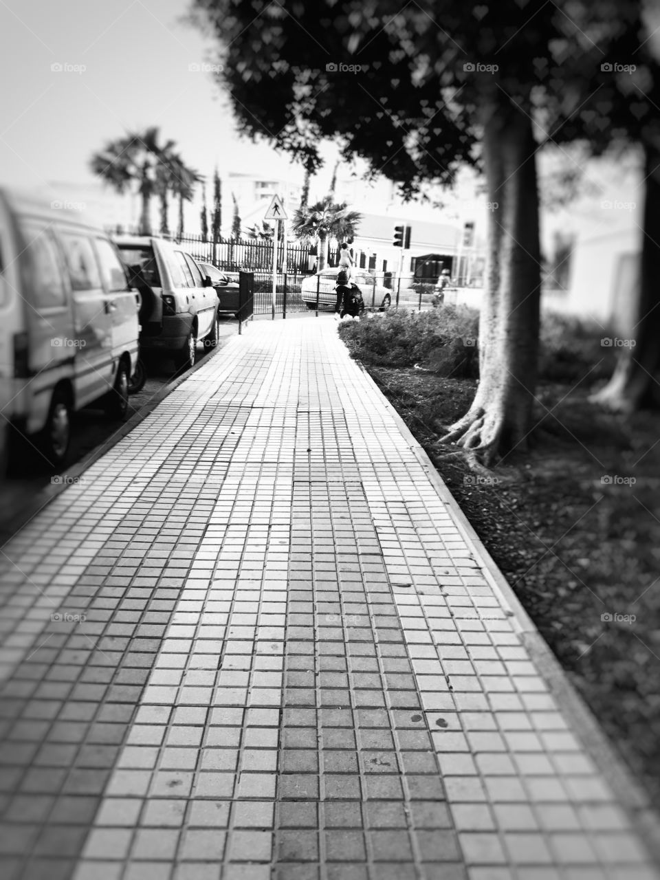 #pavement #road #street