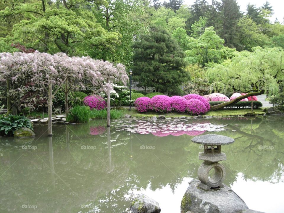 japanese garden in Seattle
