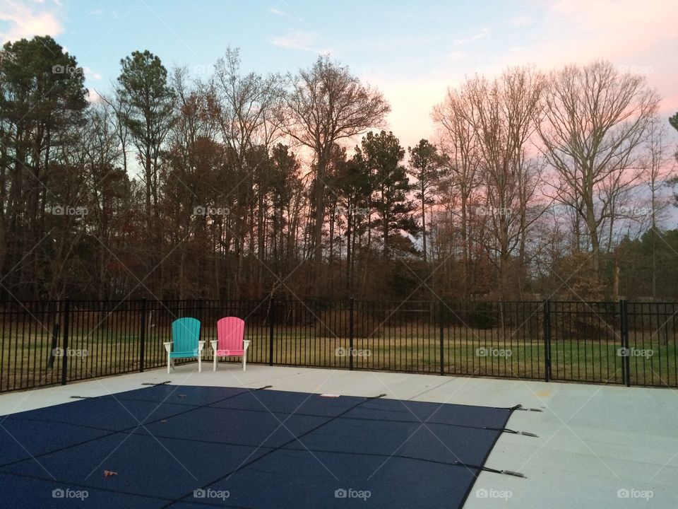 Tree, Park, Bench, Landscape, No Person