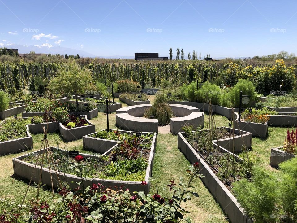 Vegetable garden surrounded by green and a blue sky