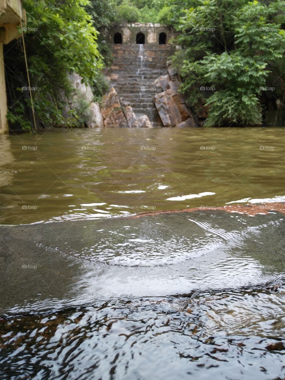 water storage for animals in wilderness