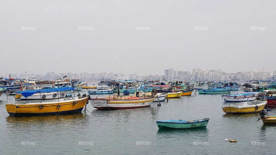 A Alexandrie même si on est loin de la splendeur passée, on peut s'émerveiller de la beauté de sa baie, de la superbe nouvelle bibliothèque, de la douceur du climat ; le poisson y est excellent . L'Egypte est un pays extraordinaire ...