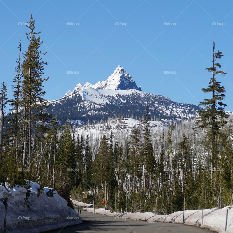 The jagged snow covered peak of Mt. Washington in Oregon’s forests and Cascade Mountain Range against a clear blue sky on a sunny spring day. 