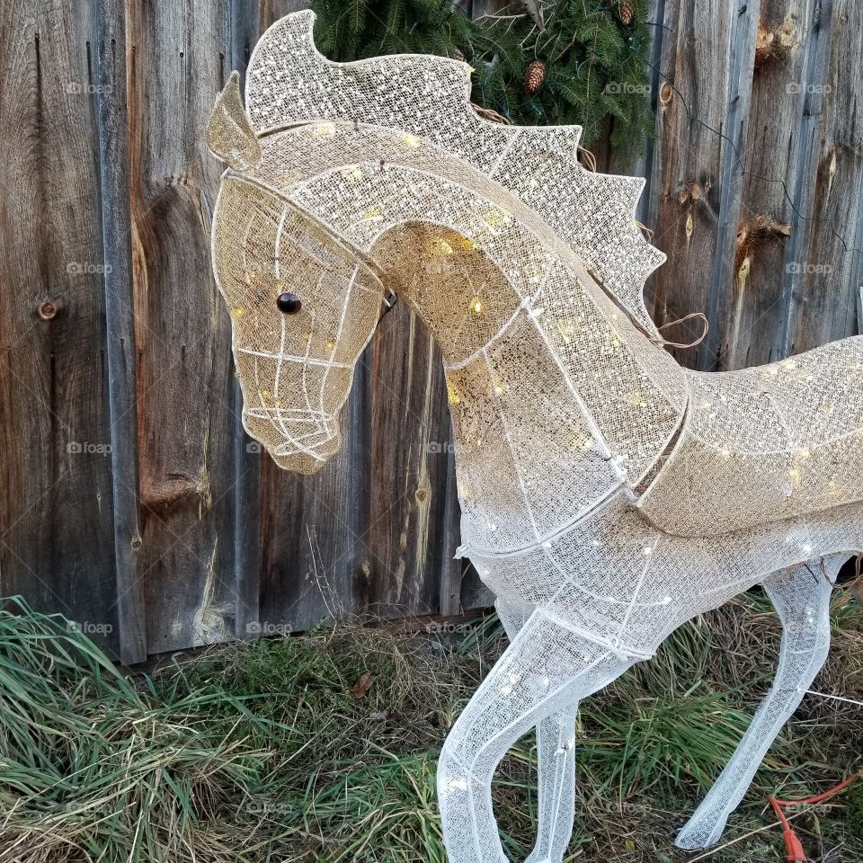 Christmas pony