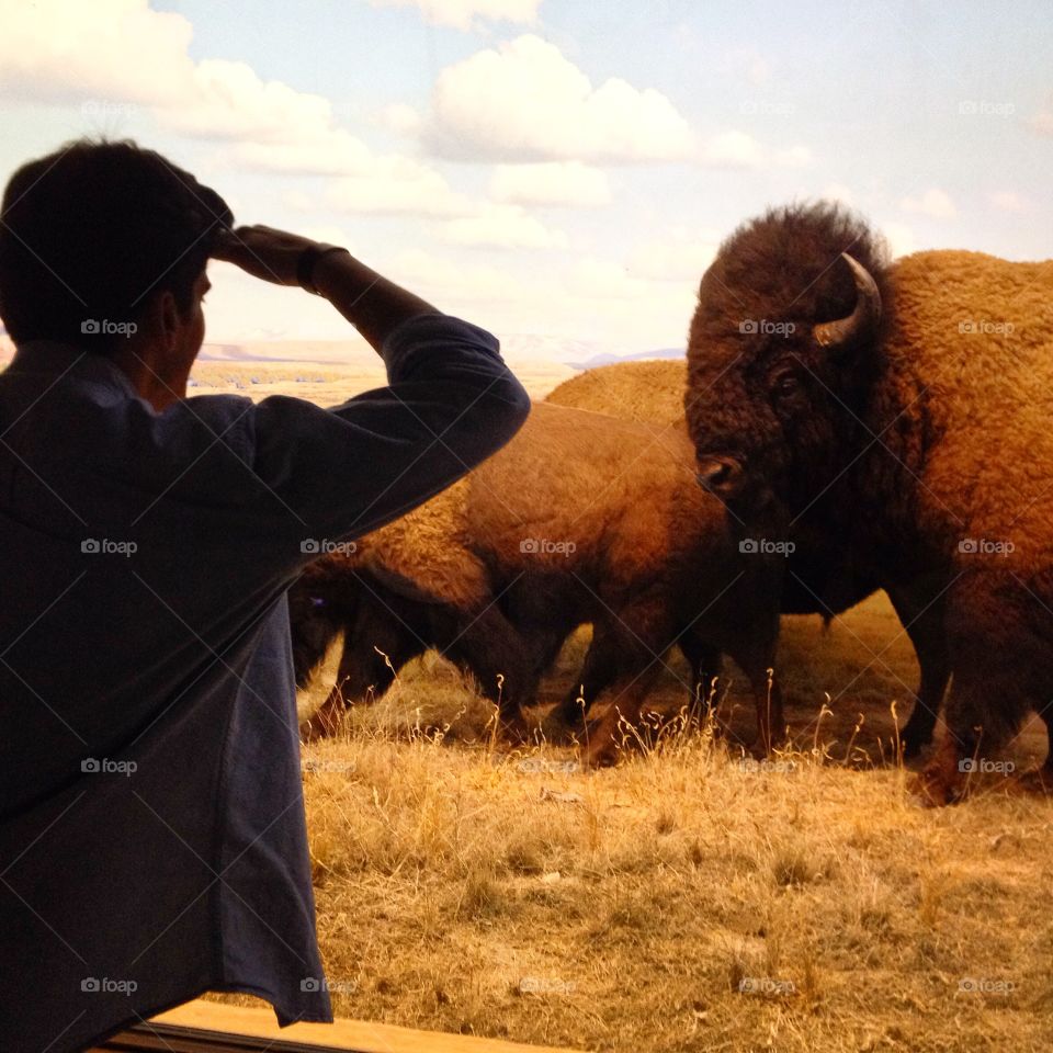 American museum . American museum 