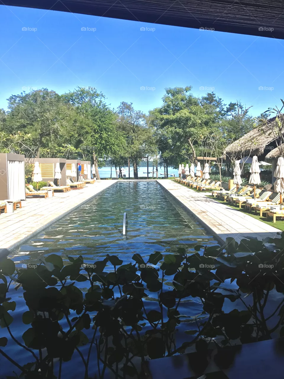 Paradise is calling