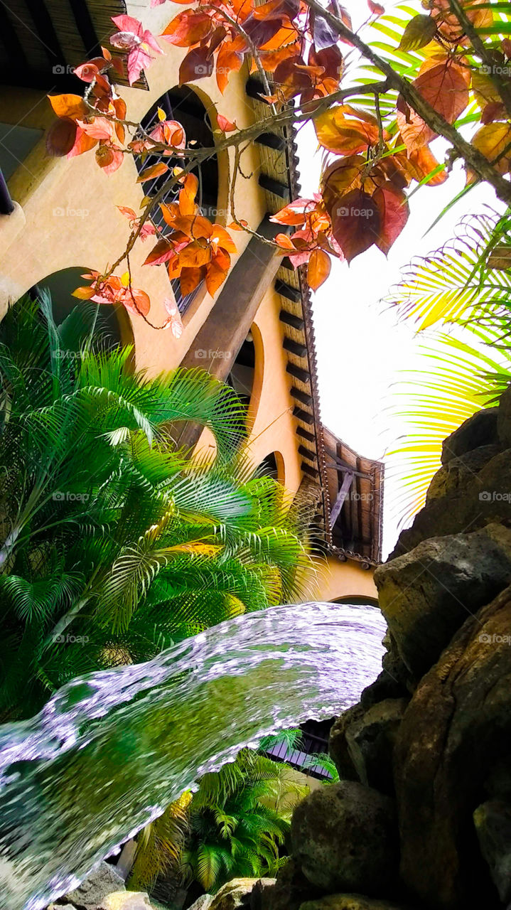 Cálida tarde de Otoño