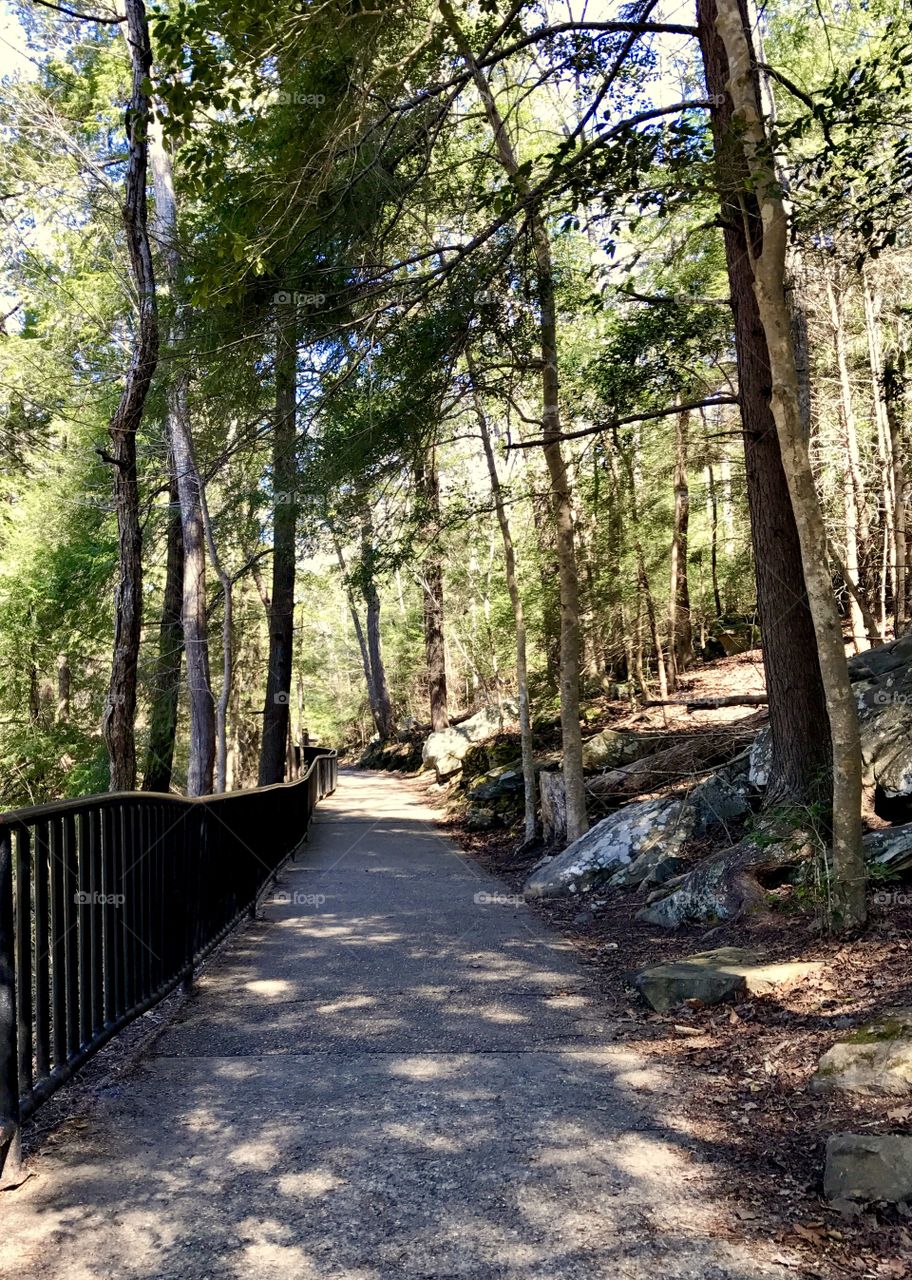 Paved Trail with a fence in the woods around Cumberland Falls