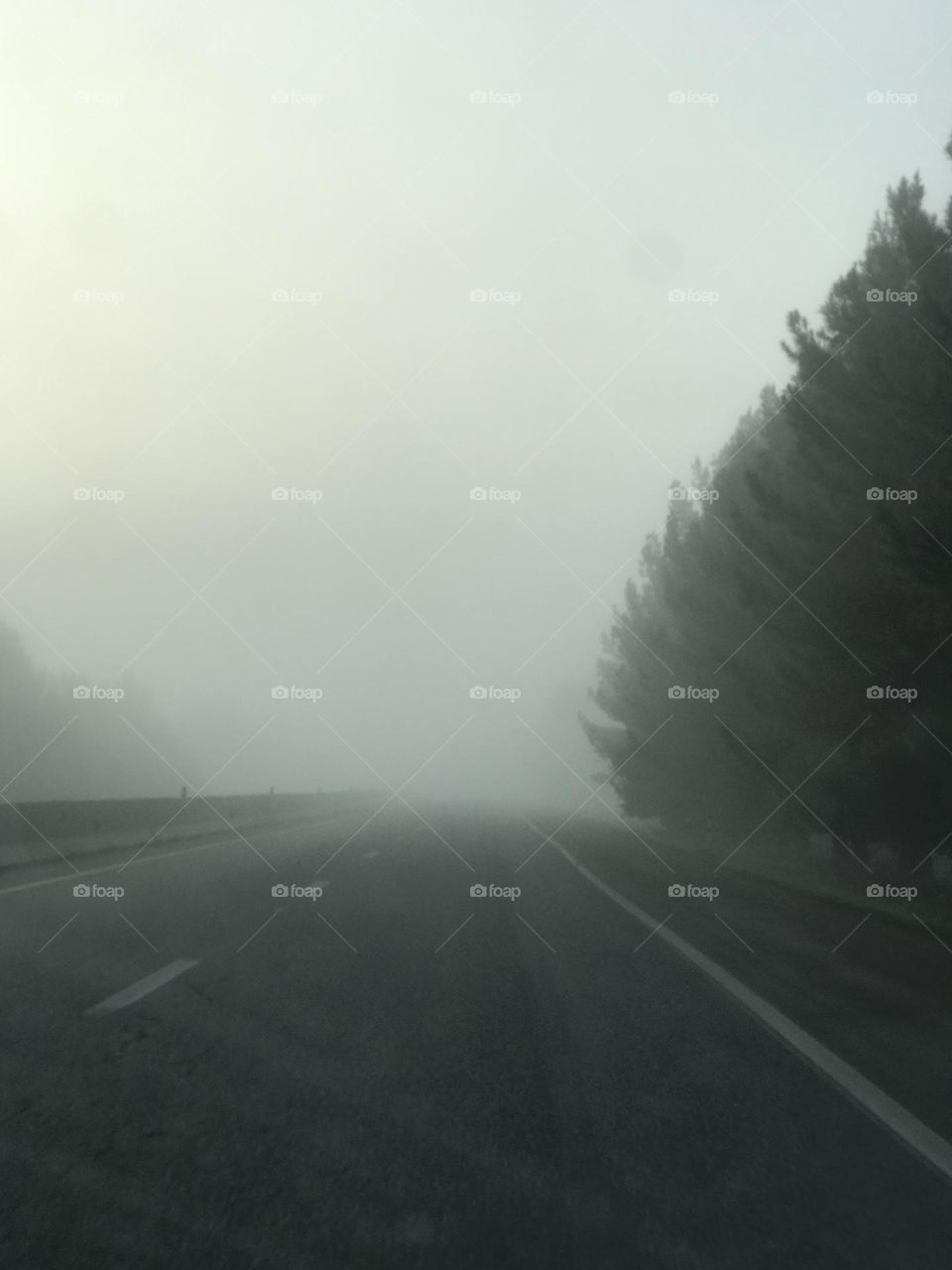 Going to work in a beautiful Foggy day 