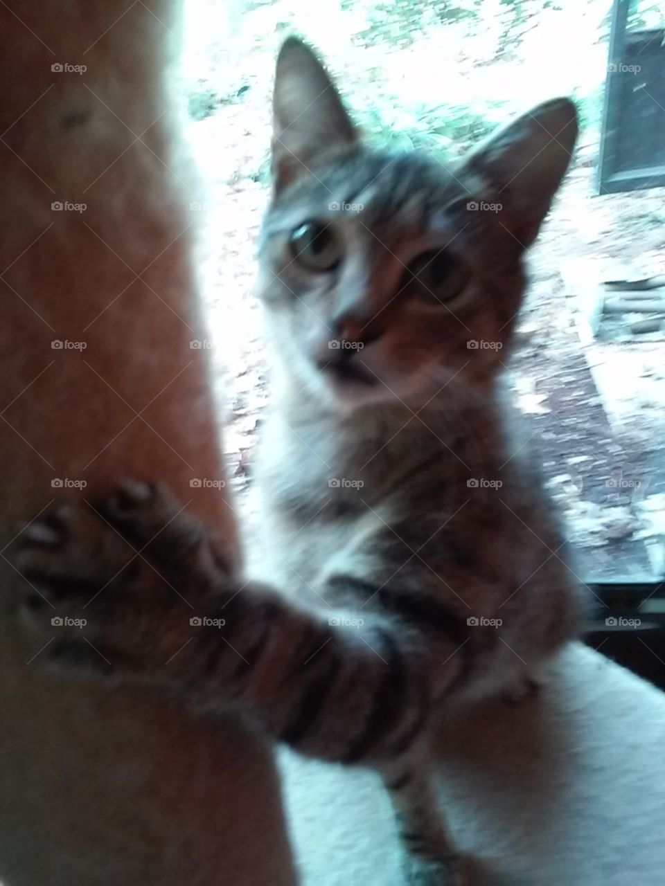 I can scratch here only Right