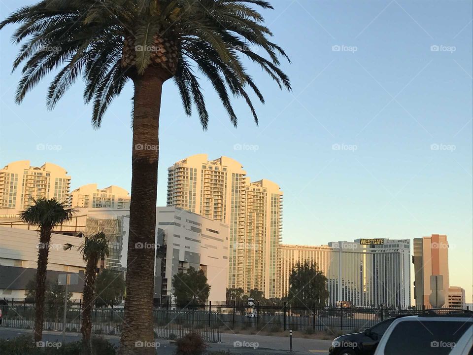 Vegas