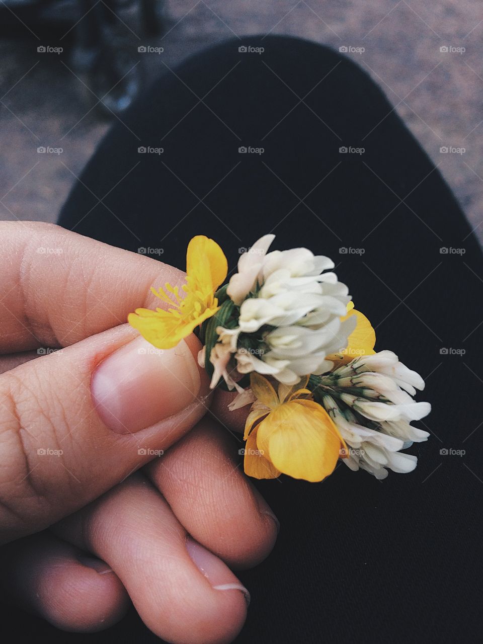 Flowers / Цветы