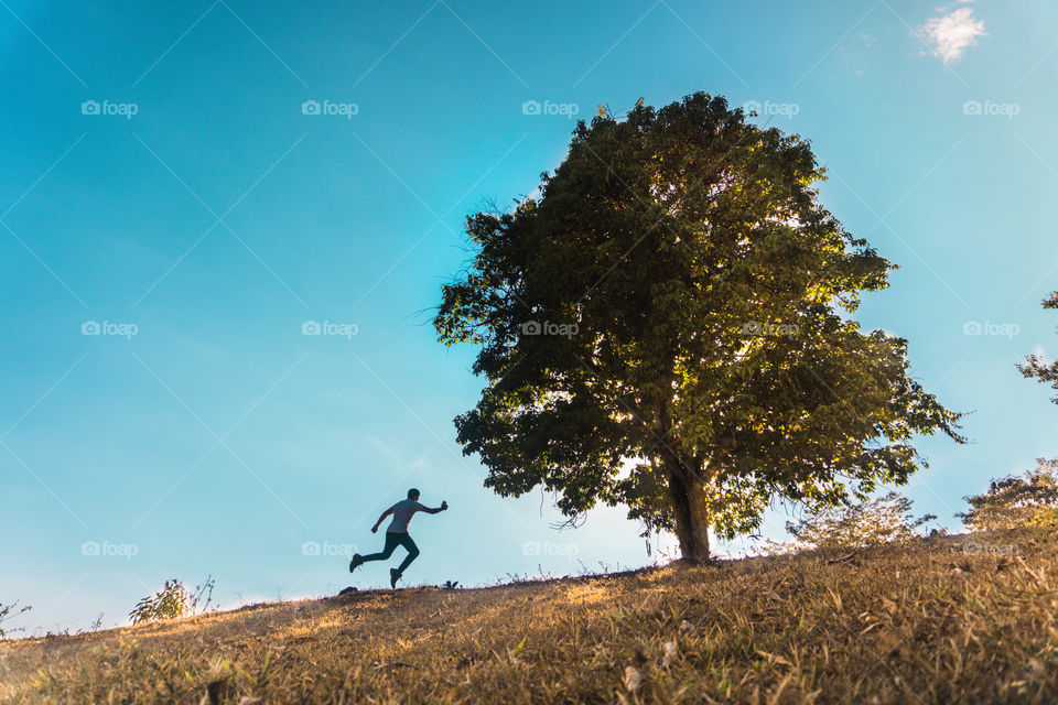 Silhouette of person at the foot of the tree