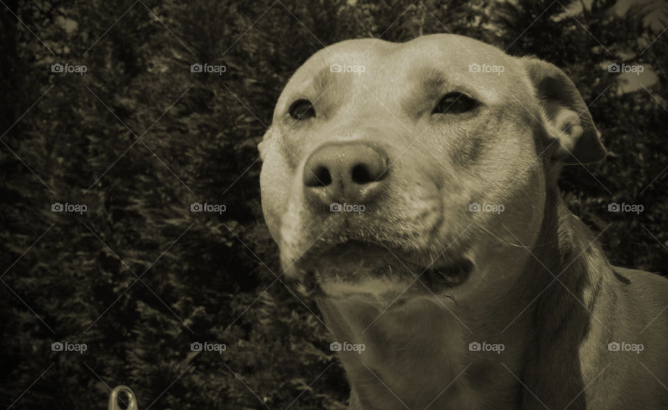 the eyes say so much