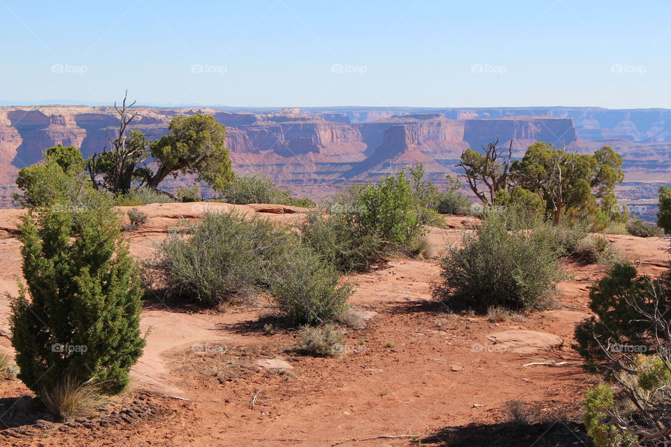 canyonlands view