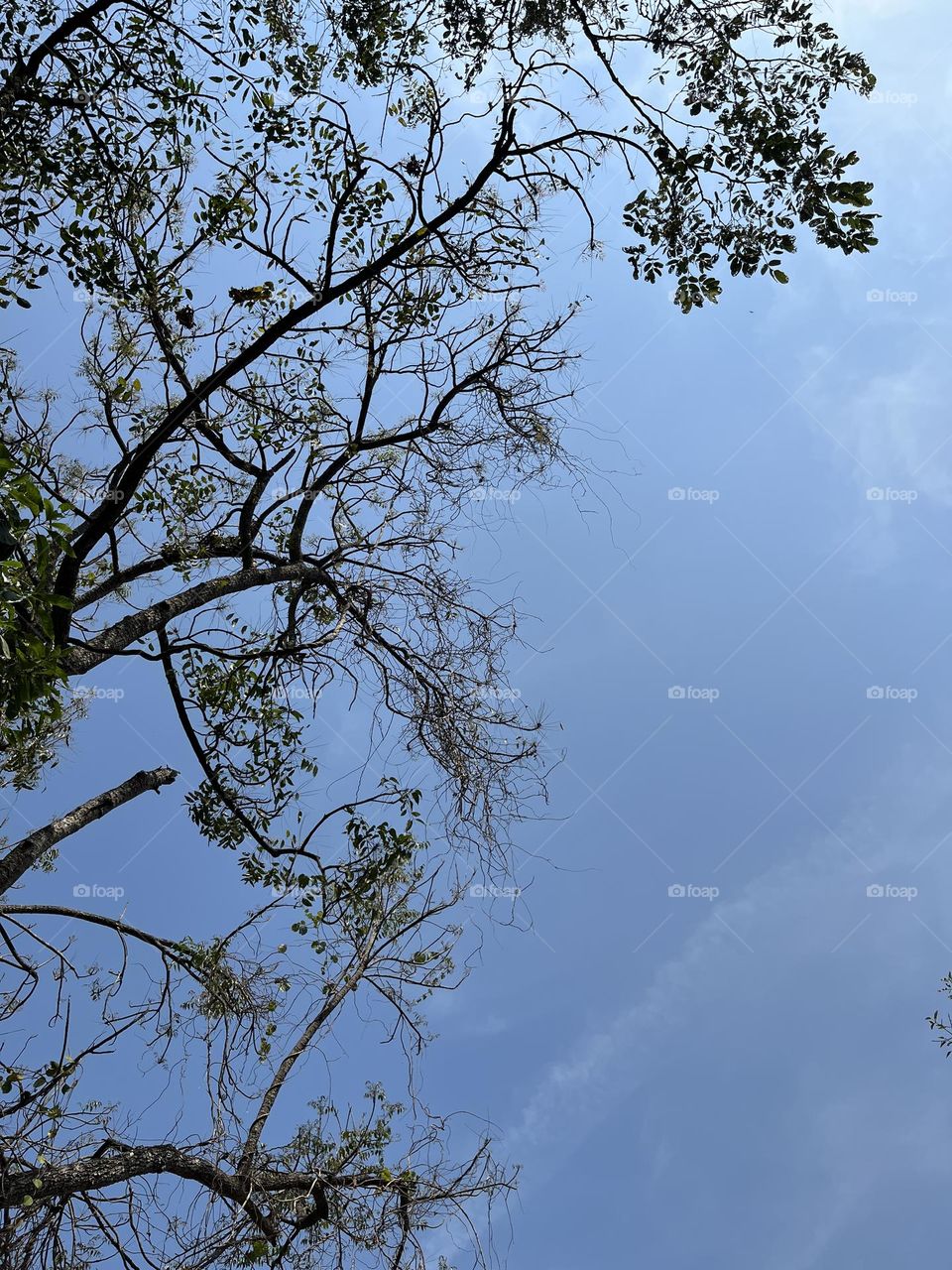 📷 Color Explosion 