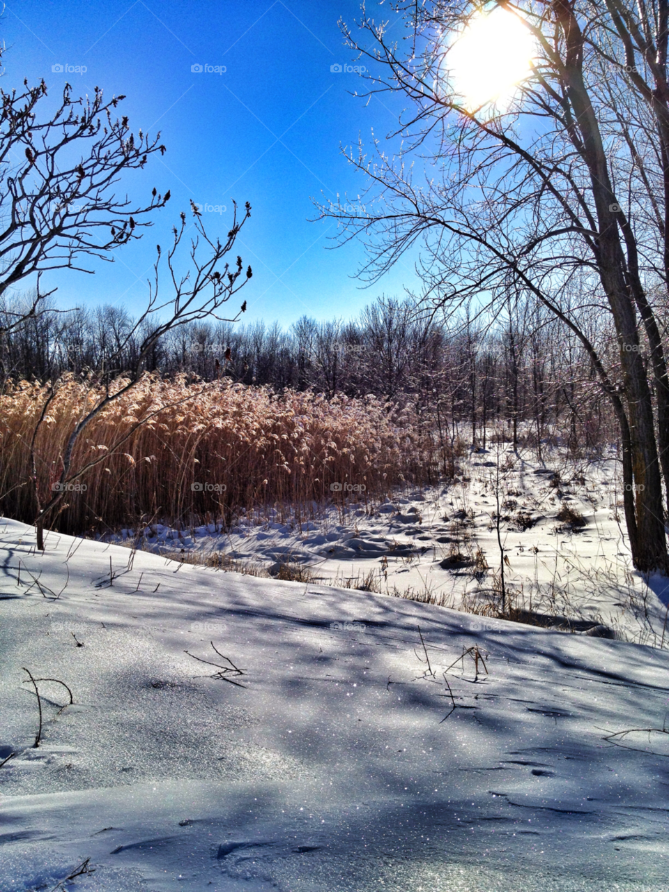 snow winter landscape sky by somebeach