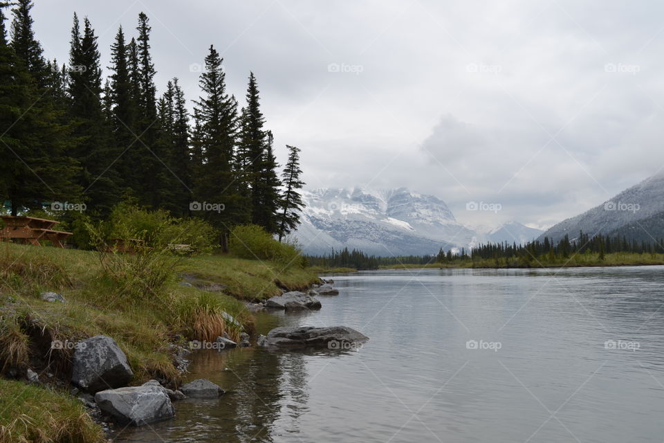 Thick Forest on the waters edge in early spring in Canada's Rocky Mountain twins 