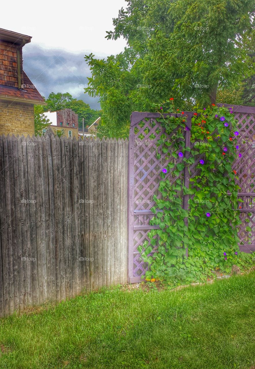 Wooden Lattice Wall