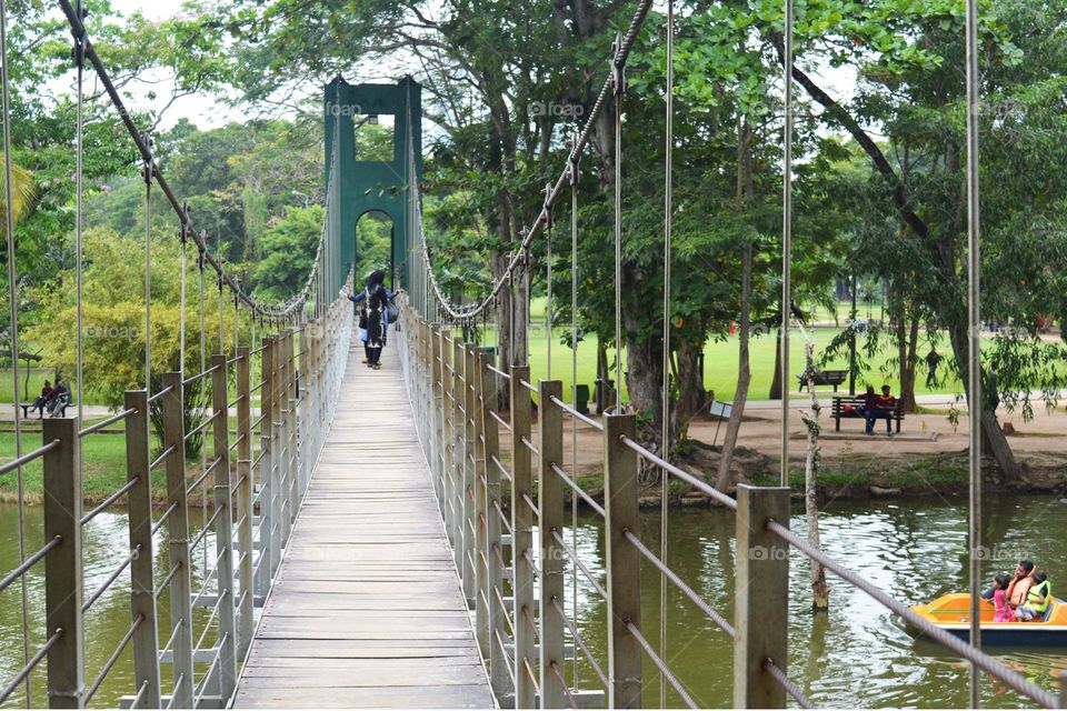 wooden bridge background walking park  relaxation
