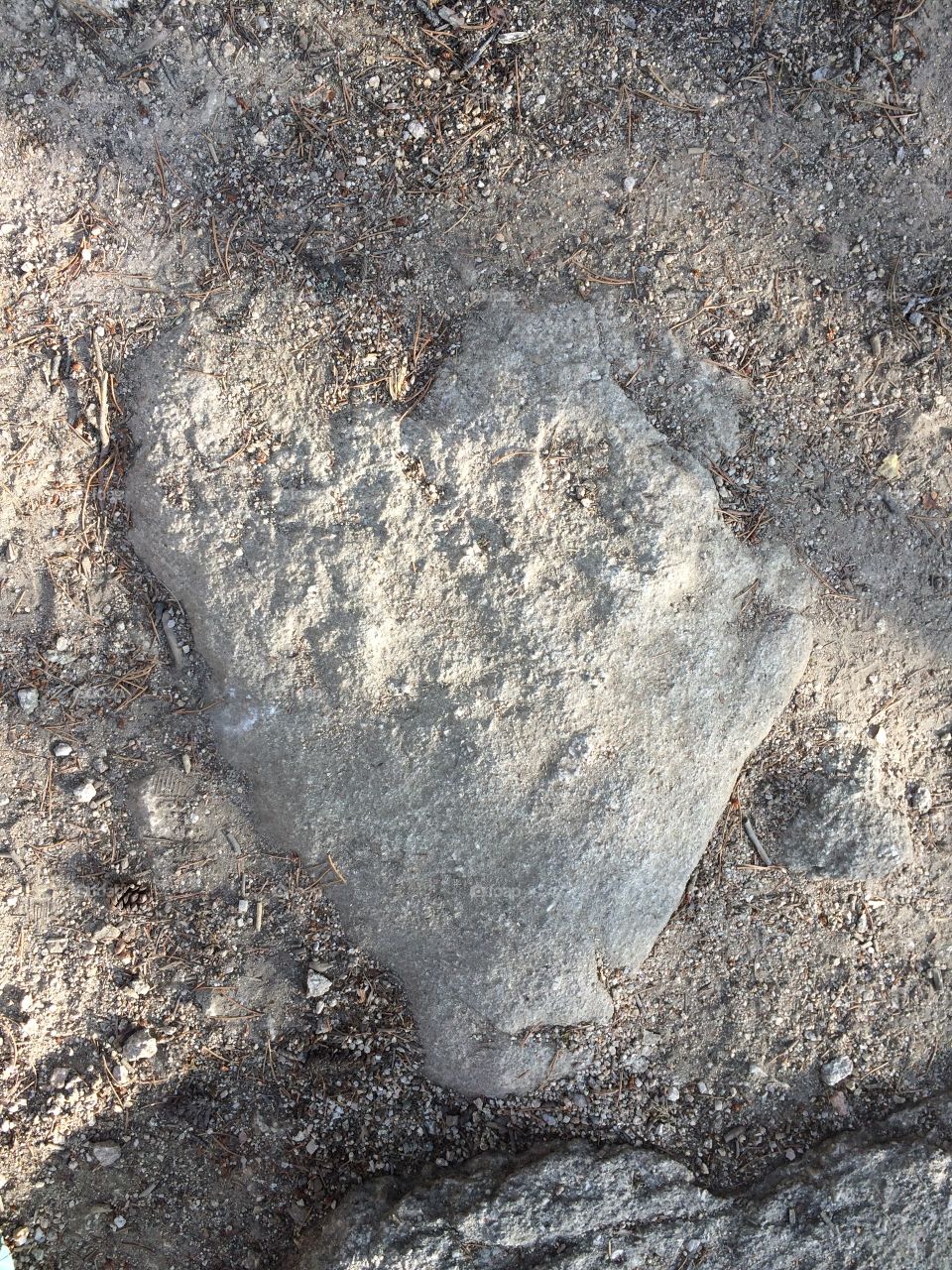 Heart Footprint 