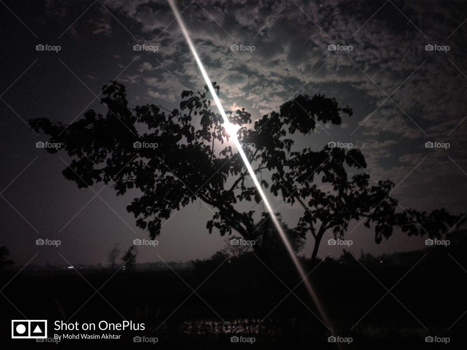 #Nightphotography#pro_mode#moonlight#treeshadow#Remember#that#the#viewer’s#eye#gets#attracted#to#the#brightest#part#of#an#image#Thus#avoid#framing#brighter#leaves#towards#the#edges#of#the#frame#