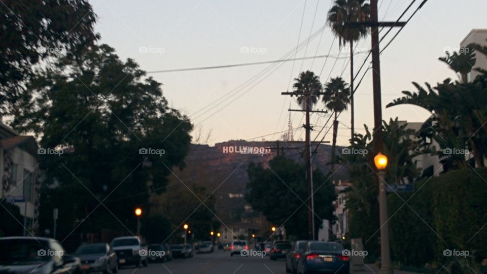 Hollywood Sign. Hollywood Sign