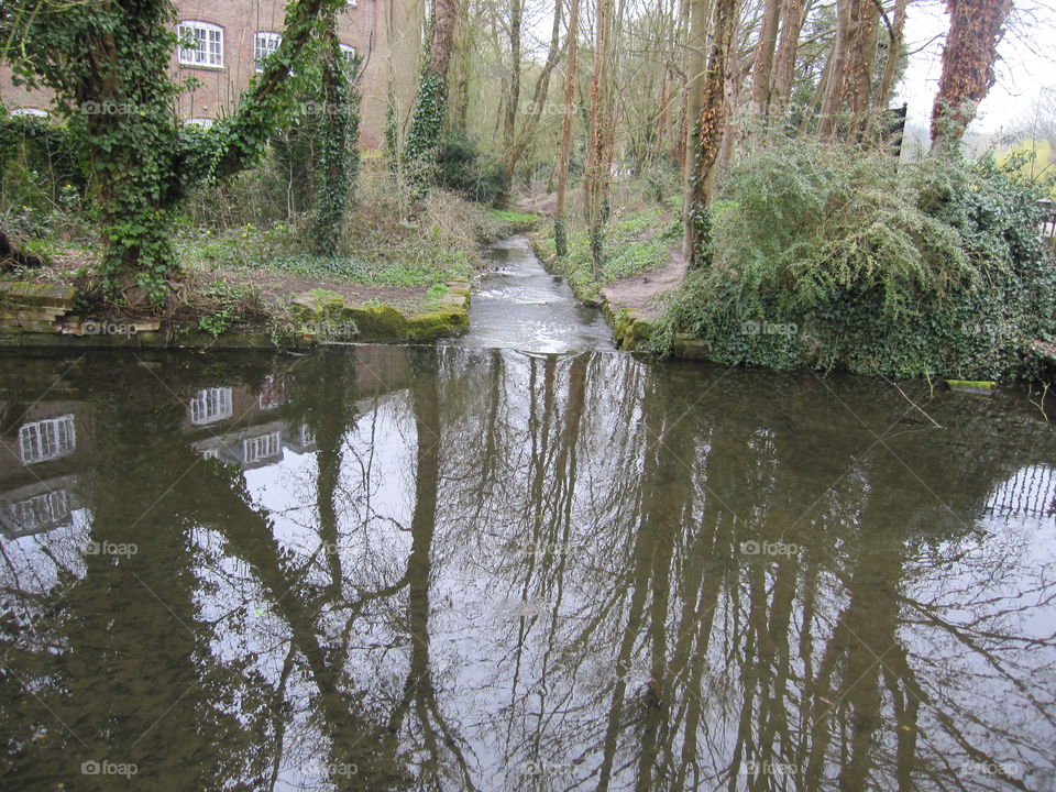 Water, River, Reflection, Tree, Pool