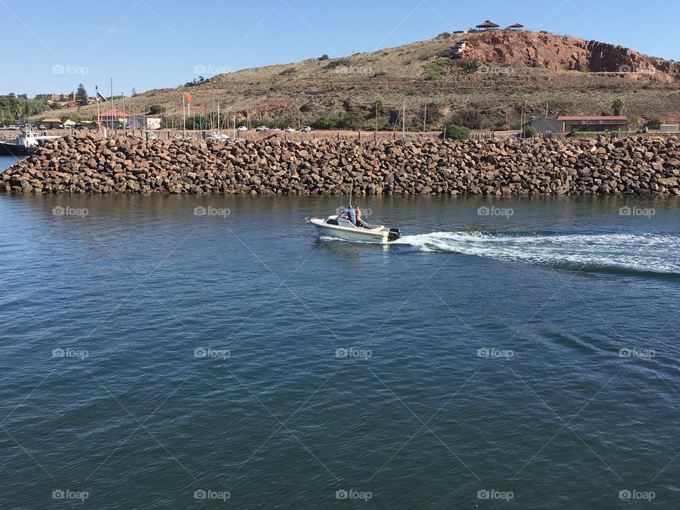 Sports fishing boat returning to marina dolphins following 