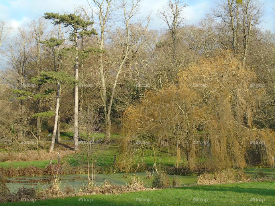 Colours od Fall, beautiful nature in UK