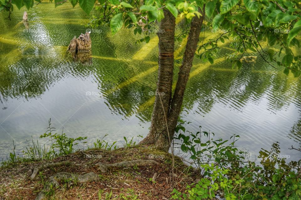 Nature. Reflections in the Quarry