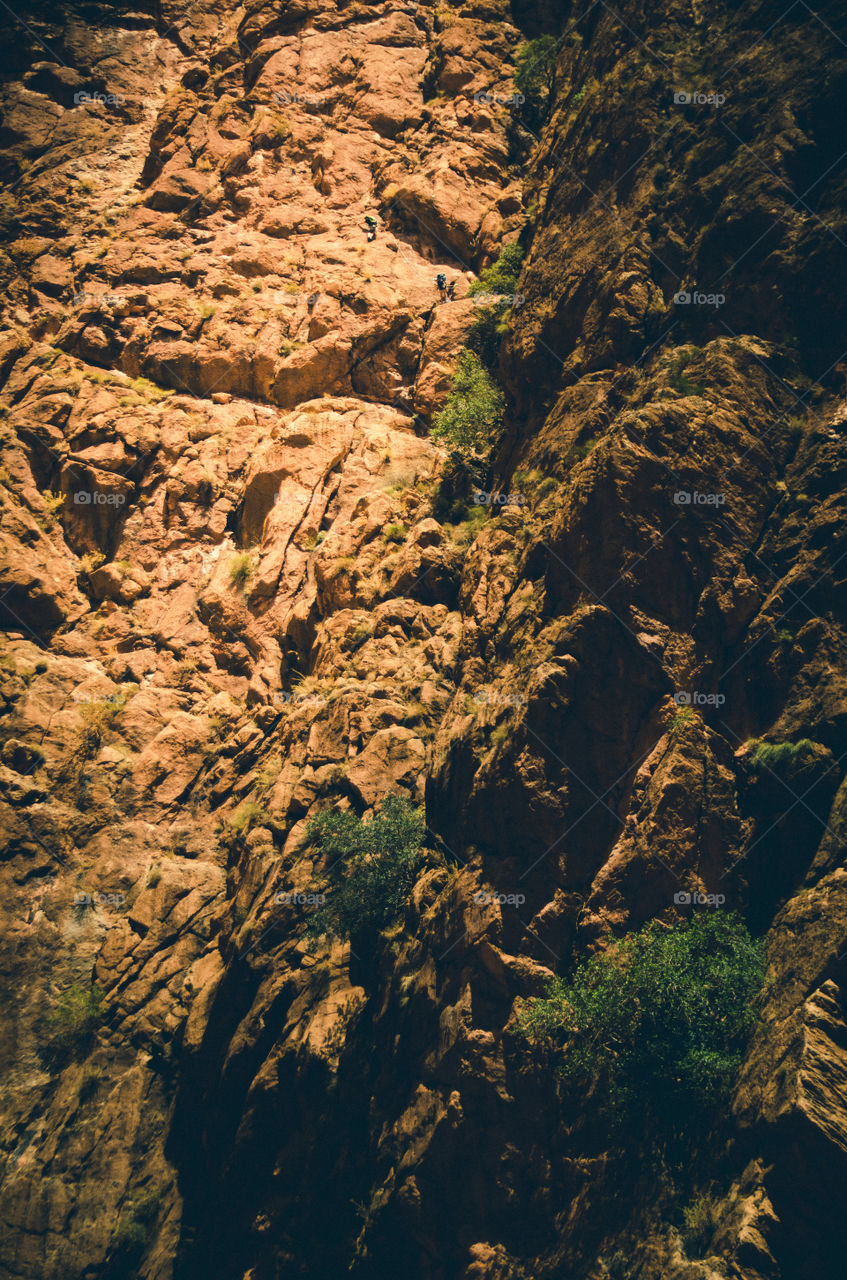 High angle view of rocky mountains