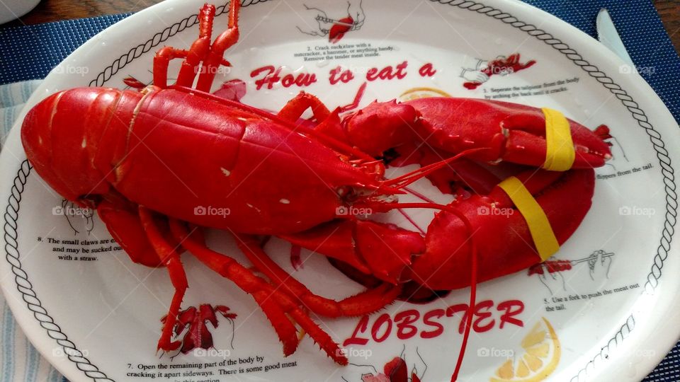 lobster day