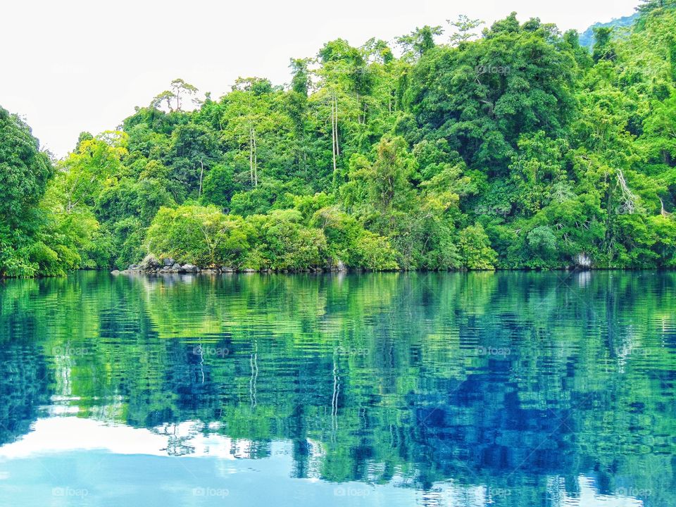 reflection - clean water of matano lake