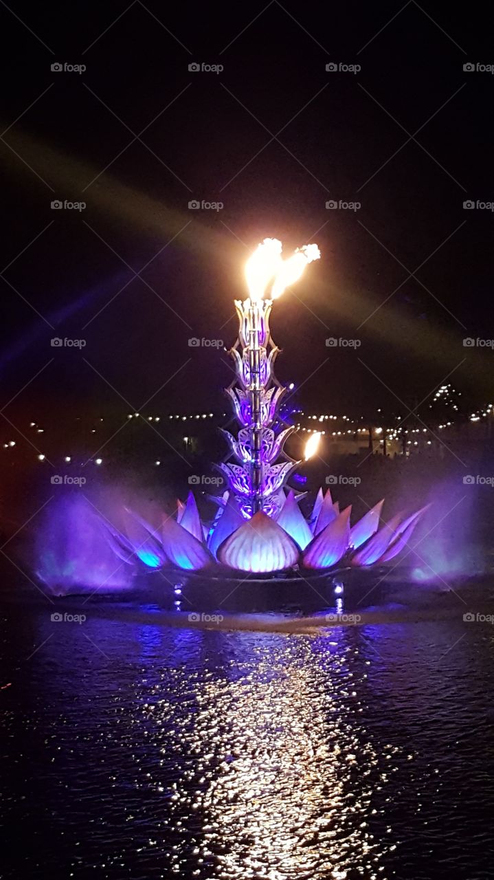 Brilliant purple light captivates the eyes on Discovery River during Rivers of Light at Animal Kingdom at the Walt Disney World Resort in Orlando, Florida.